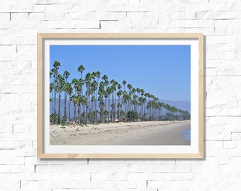 Santa Barbara, Palm Tree Print, California Print - Photo Print