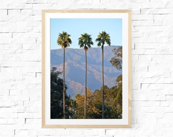 Santa Barbara Palms, Palm Tree Print, California Print - Photo Print