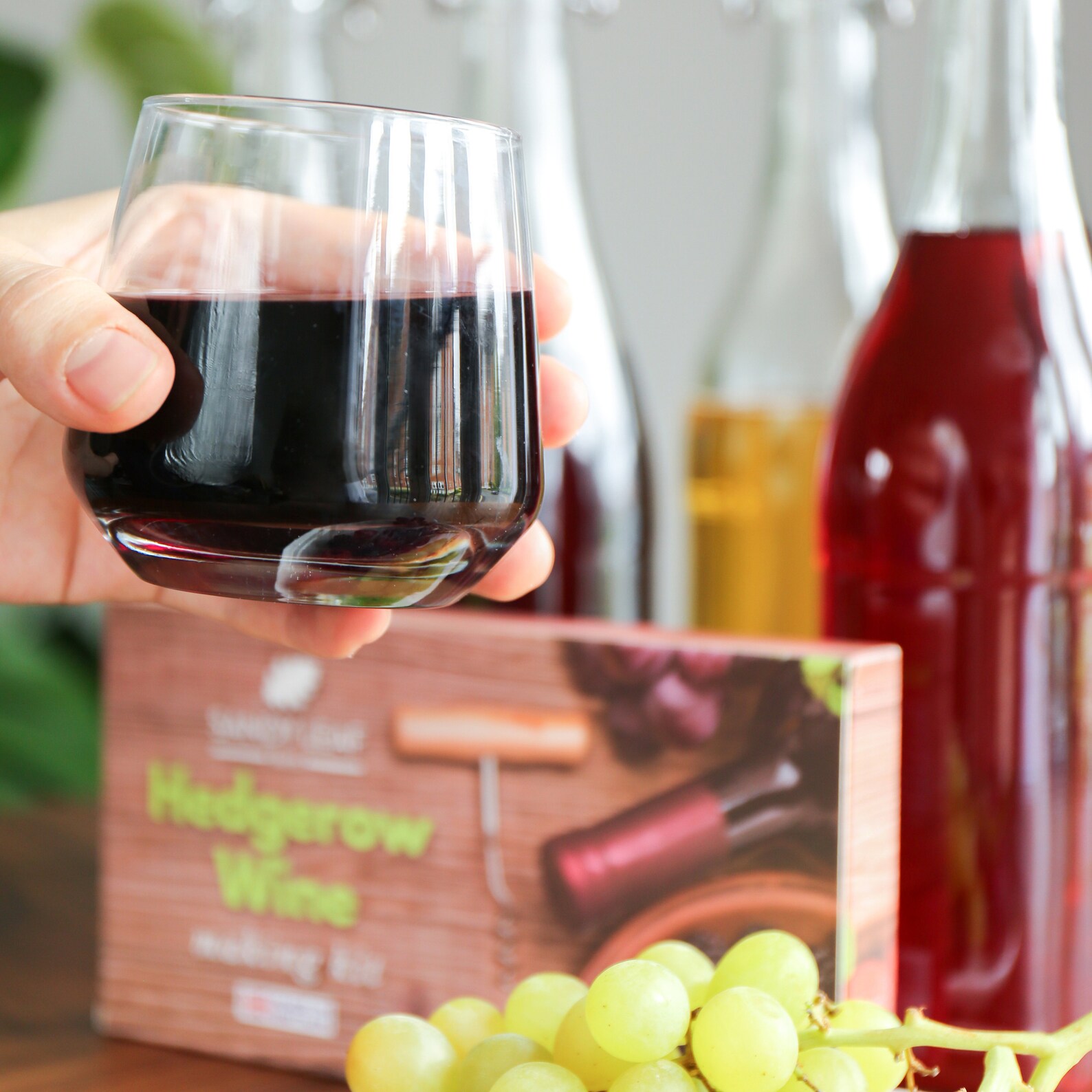 Hedgerow Wine Kit Make Your Own Fruit Wine Etsy