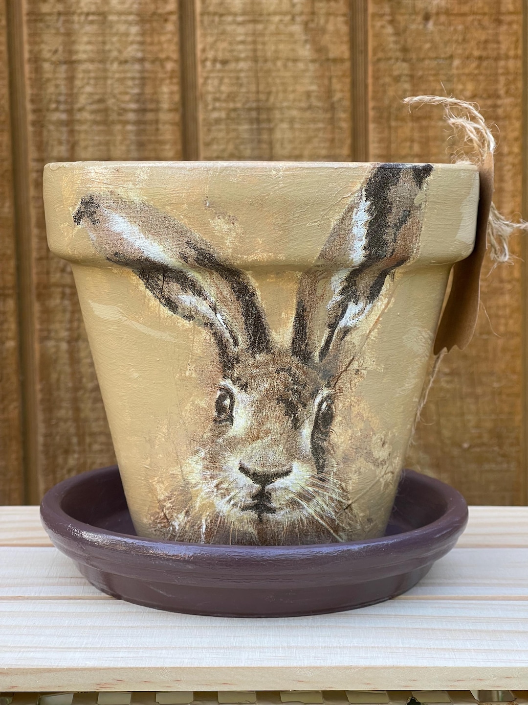 Hand-painted Terracotta Planter: Decorative Rabbit Design, 6-inch - Etsy