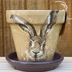 May include: A hand-painted terracotta planter with a brown rabbit face design. The planter has a matching brown saucer.