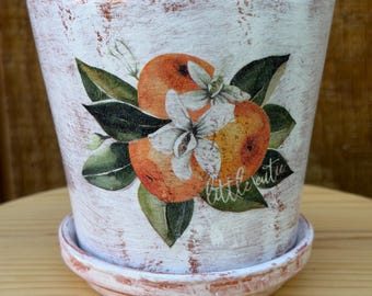 Hand Painted Orange Fruit Print Terra Cotta Planter: Aged Distressed Indoor Outdoor Pot