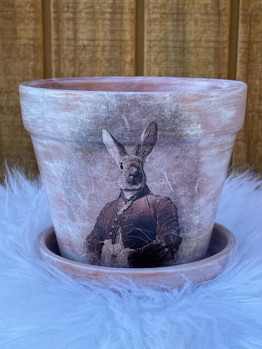 Hand Painted Terracotta Planter: Rabbit Design, Home Decor (5.5 Inch ...