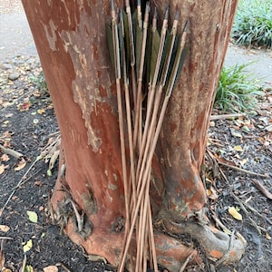 May include: A bundle of wooden arrows with green fletching and metal tips leans against a tree trunk. The arrows are made of light brown wood and are arranged in a vertical position. The tree trunk has a reddish-brown bark.