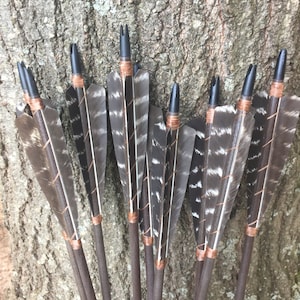 Puede incluir: Un conjunto de flechas de tiro con arco con astiles marrones oscuros, puntas negras y emplumado. Las plumas son principalmente marrones y blancas, y el emplumado está asegurado con una atadura color cobre. Fondo de tronco de árbol.