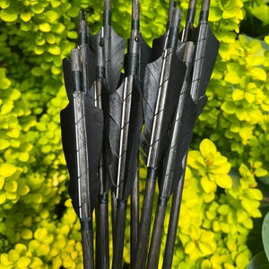 May include: A collection of archery arrows featuring black fletching and dark wooden shafts. The feathers have a white stripe. The arrows are displayed against a backdrop of vibrant green foliage.