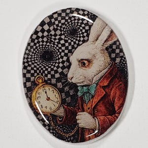 May include: Oval-shaped pin featuring the White Rabbit from Alice in Wonderland. The rabbit, dressed in a red coat and holding a pocket watch, is set against a black and white checkered background. The watch shows the time.