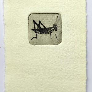 Grasshopper, original art, etching, print, fine art print, printmaking, affordable art, miniprint, Pocket Print, Etchings for Everybody