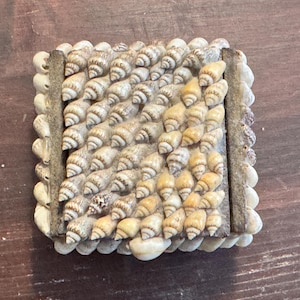 Vintage 1980s folk art  Seashell Keepsake Jewelry Trinkett Shell Encrusted Box