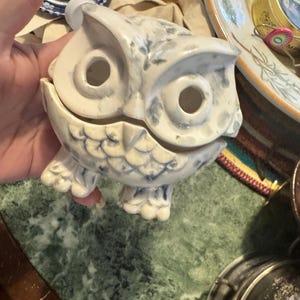 May include: A ceramic owl-shaped trinket box in cream and blue. The owl has large, open eye sockets and a hinged top. The box is decorated with blue accents and sits on a green and brown surface. The owl's feet are visible.