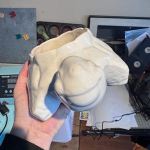 May include: Off-white ceramic planter with a unique, abstract design. The planter has an irregular shape with a rounded base and a wide opening. The surface has a slightly textured appearance. The planter is held by a person.