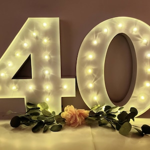 WHITE Large Metal Wedding Marquee Light | Light Up Letters/Light Up Letter/Marquee Sign/Etsy Wedding Sign/Marquee Number/Light Up Name Sign