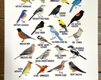 Backyard Birds of California- Print