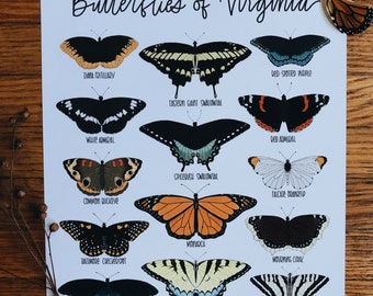 Butterflies of Virginia -Illustration- Print