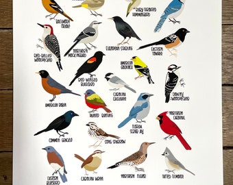 Backyard Birds of Florida-Print