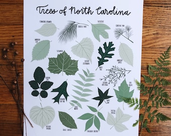 Trees of North Carolina -Illustration- Print