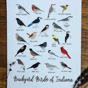 Backyard Birds of Indiana-Print