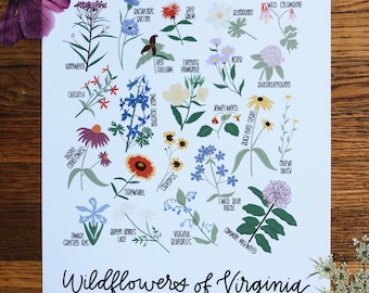 Wildflowers of Virginia Illustration- Print