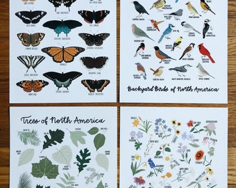 Natural History Print Bundle