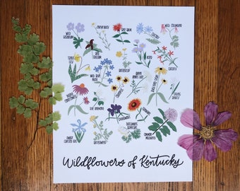 Wildflowers of Kentucky Illustration- Print