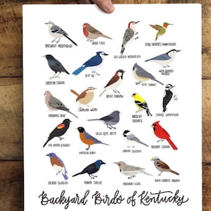 Backyard Birds of Kentucky -Print