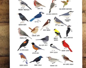 Backyard Birds of Kentucky -Print