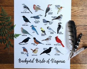 Backyard Birds of Virginia Illustration- Print