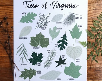 Trees of Virginia-Illustration- Print