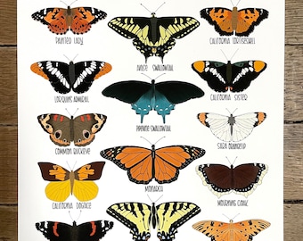 Butterflies of California -Illustration- Print
