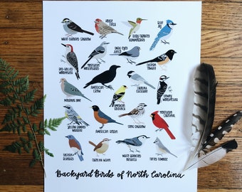 Backyard Birds of North Carolina-Print