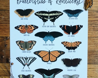 Butterflies of Kentucky- Illustration- Print