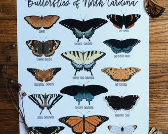 Butterflies of North Carolina-Illustration- Print