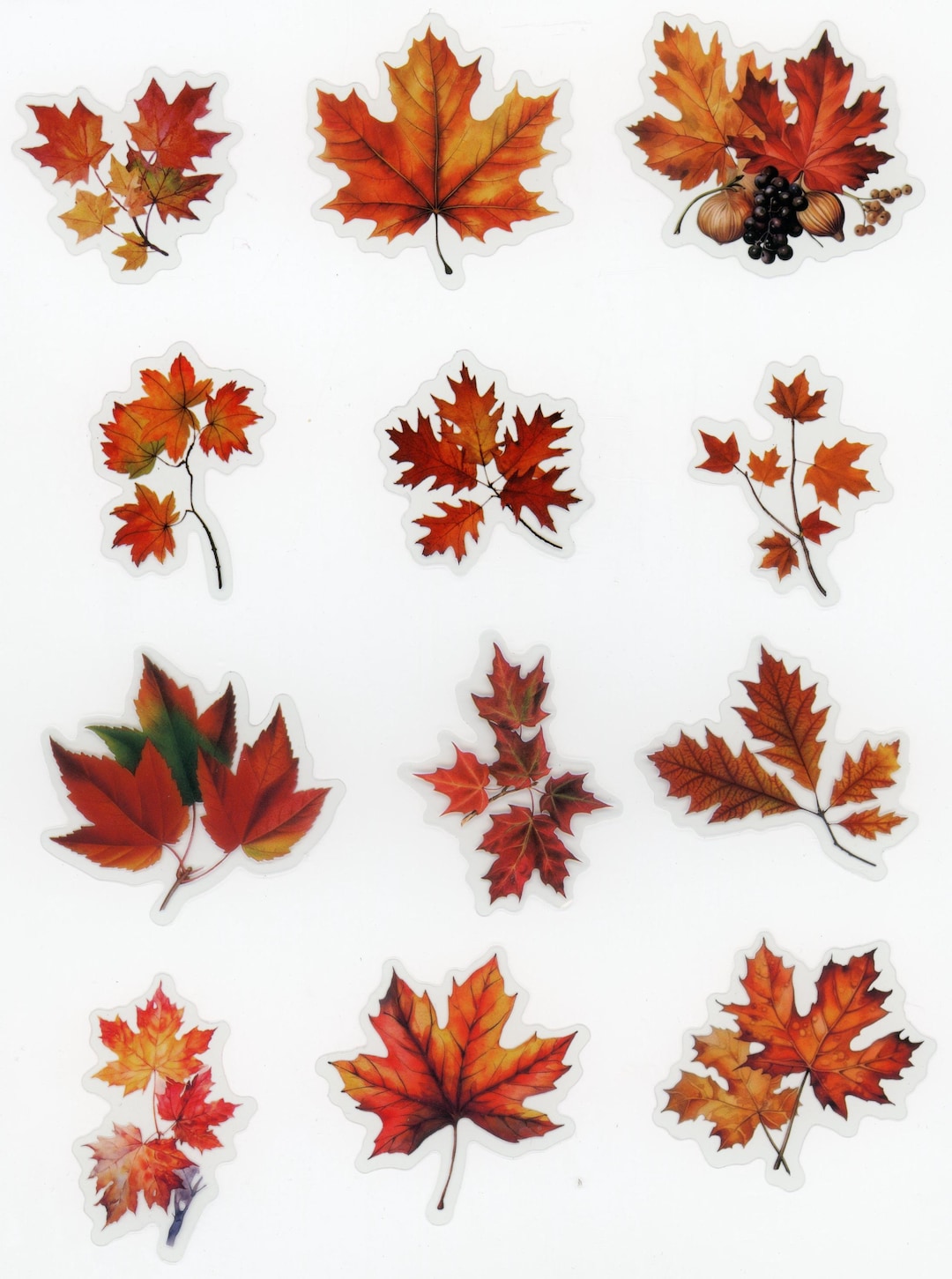 Set of 20 Self-adhesive Stickers - Tree Leaves - Autumn Leaves (set 4 ...