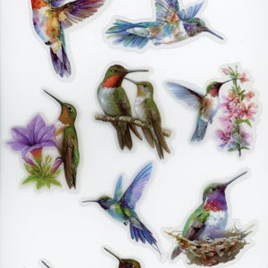 Lot de 25 stickers autocollants transparents Oiseaux (Lot 1)