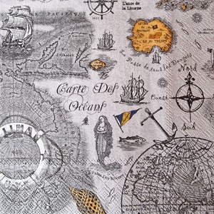 Lot de 2 serviettes en papier - Carte des océans