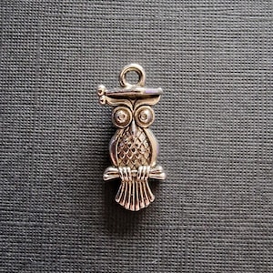 Set of 2 Owl charms