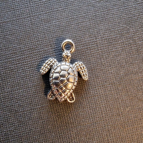 Lot de 2 breloques Tortue