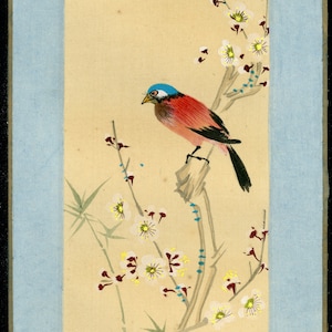 Chinees schilderij op zijde gelijmd op karton - Handgemaakt - 20e eeuw - Vogelserie (5A/12)