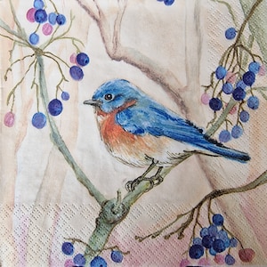 Conjunto de 2 guardanapos de papel - pássaro azul (Pedro na Árvore)