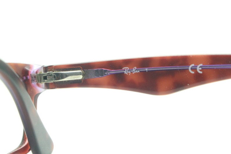 May include: Close-up of the hinge and temple arm of a pair of tortoiseshell eyeglasses. The temple arm is inscribed with "Ray-Ban" and "CE".