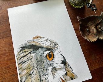 A Portrait of an Owl Print
