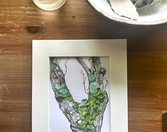 Mossy Tree Artwork: Ink and Watercolor Painting, Ready to Frame