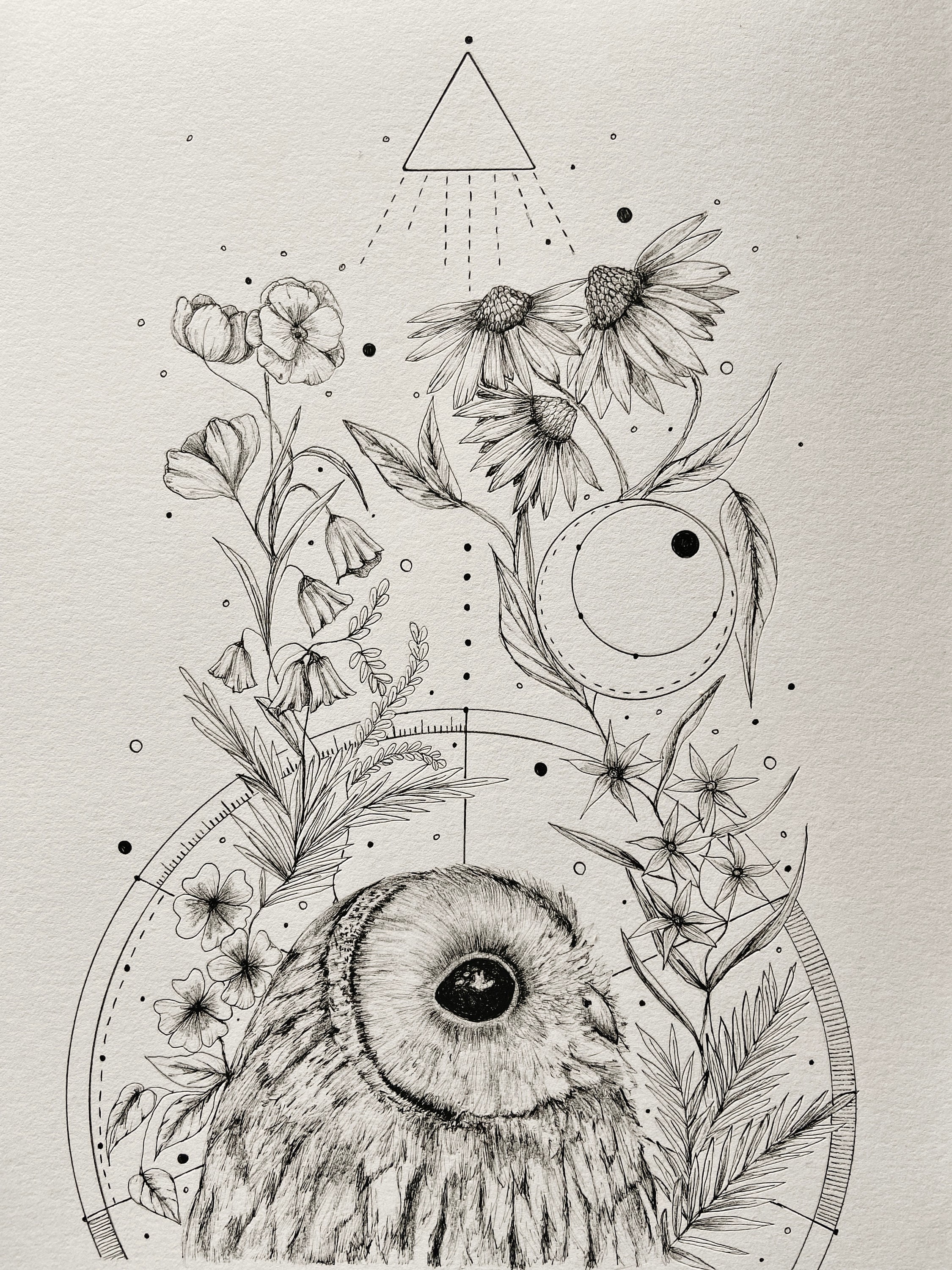 Mystical Owl and Sacred Geometry Print