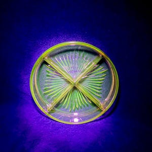 May include: A round, translucent green glass dish featuring a divided interior with four distinct sections. The glass displays a vibrant, glowing appearance under ultraviolet light, showcasing a detailed sunburst pattern radiating from the center.