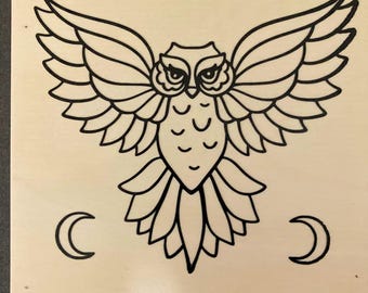 Paintable Canvases with Paint set