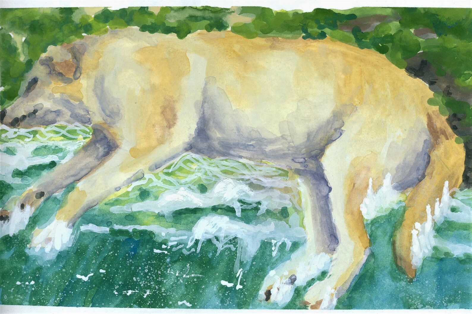 Dog Beach Art Print Etsy