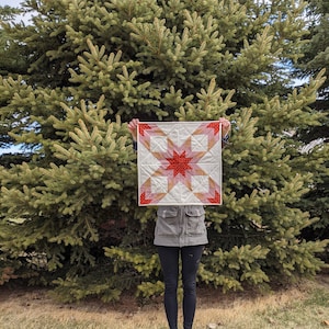 PDF Not Alone Star Quilt Pattern by Lindlee Smith of Plains and Pine Digital Download 6 Sizes and 2 Color Variations image 5