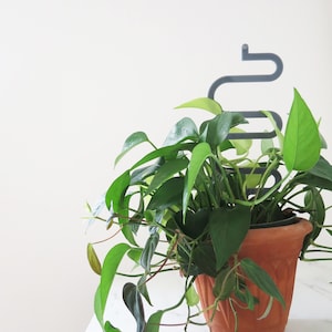 Puede incluir: Una planta verde en maceta con enredaderas colgantes que crecen en un soporte de planta de metal gris. La planta está en una maceta de terracota.