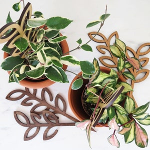 Puede incluir: Dos plantas en maceta con hojas variegadas y estacas de madera en forma de hojas. Las estacas son marrones y las macetas son de terracota.