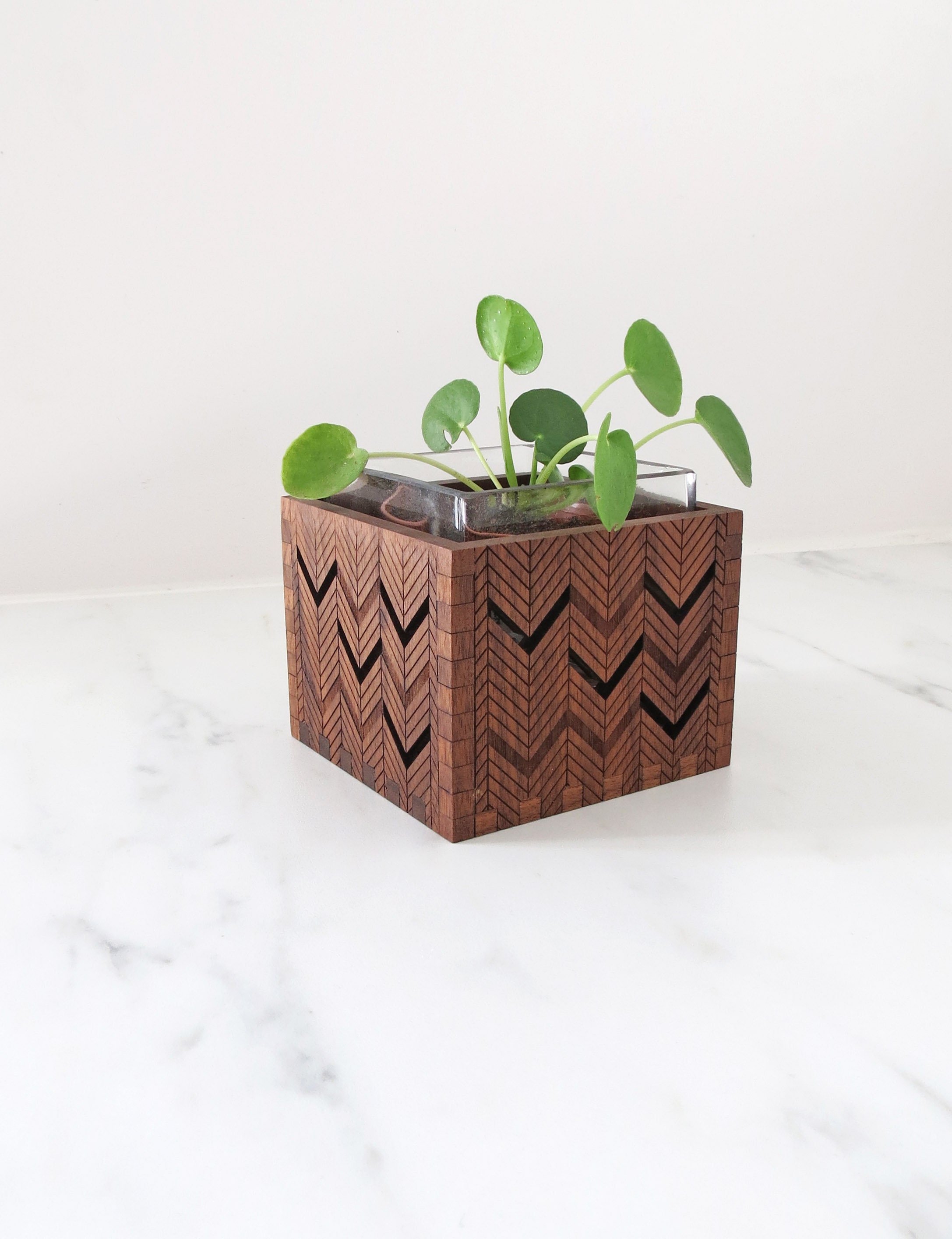 Support Succulent en Bois - Vase Gravé Support Votive Chevron -